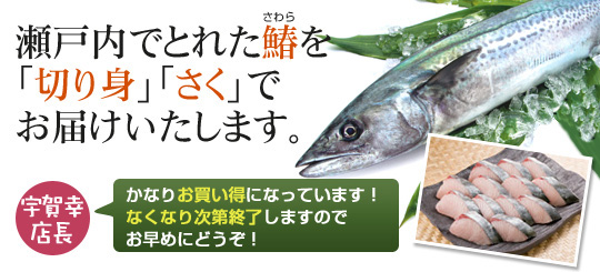 鰆（サワラ）の切り身・さく